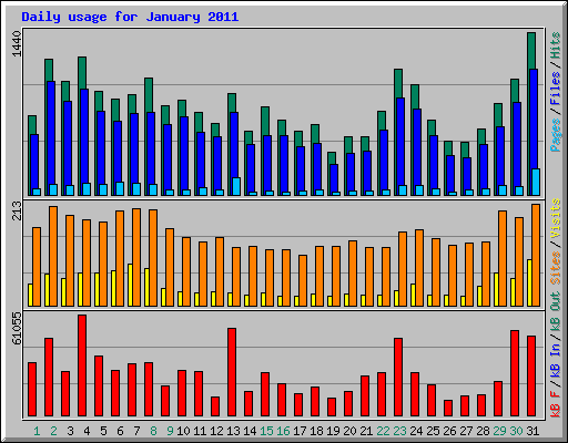 Daily usage for January 2011