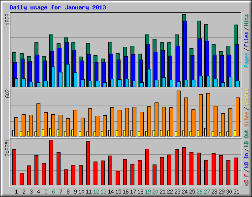 Daily usage for January 2013