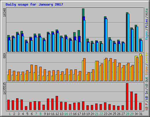 Daily usage for January 2017