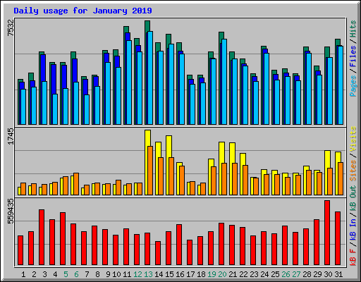 Daily usage for January 2019