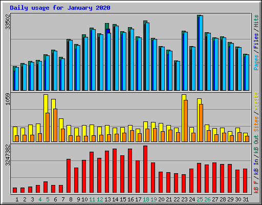 Daily usage for January 2020