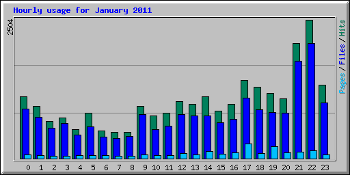 Hourly usage for January 2011