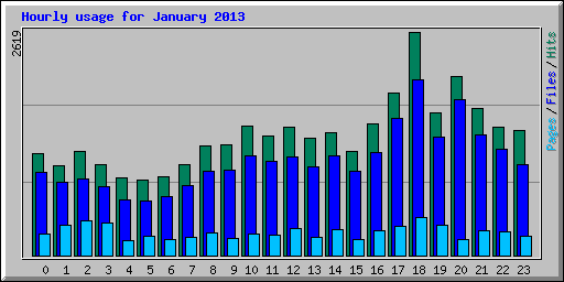 Hourly usage for January 2013