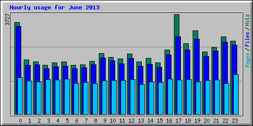 Hourly usage for June 2013