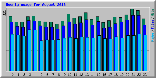 Hourly usage for August 2013