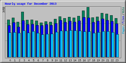 Hourly usage for December 2013
