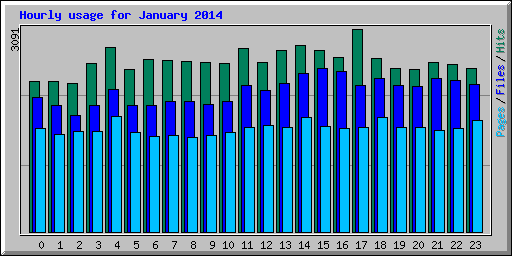 Hourly usage for January 2014