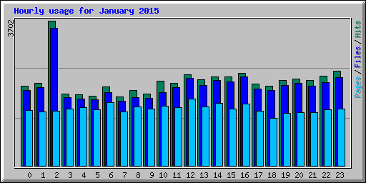 Hourly usage for January 2015