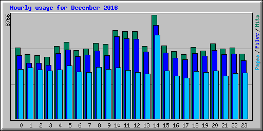 Hourly usage for December 2016