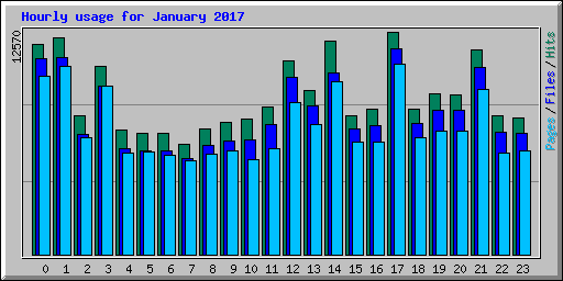 Hourly usage for January 2017