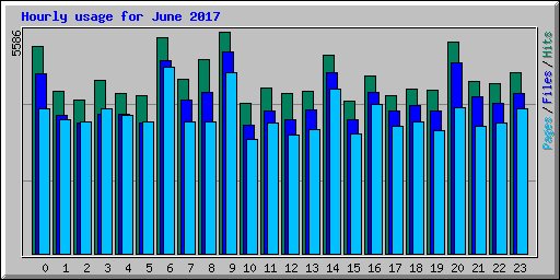 Hourly usage for June 2017