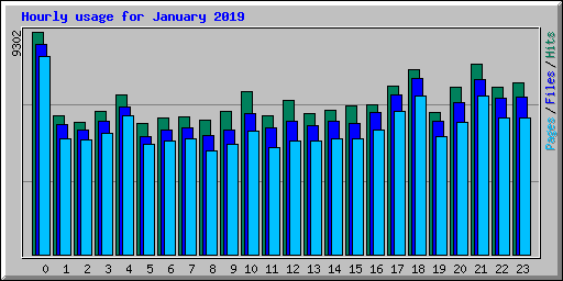 Hourly usage for January 2019