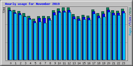 Hourly usage for November 2019