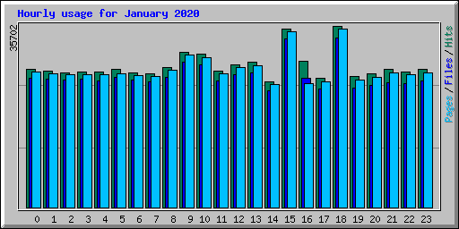 Hourly usage for January 2020