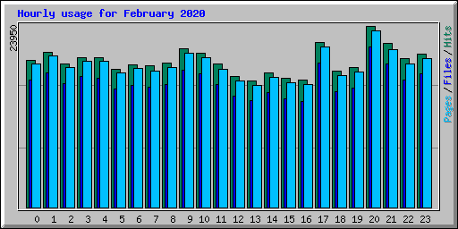 Hourly usage for February 2020