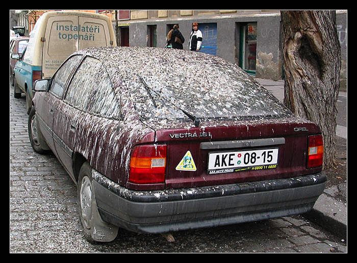 http://www.manaszk.it.pl/zarty/parking.jpg
